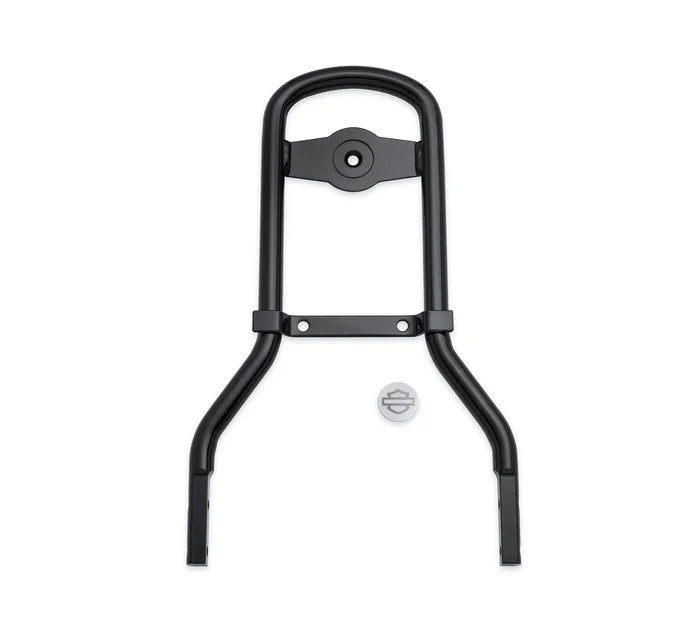 Standard Mini-Medallion Style Sissy Bar Upright