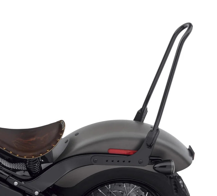 One-Piece Tall Rigid Mount Sissy Bar