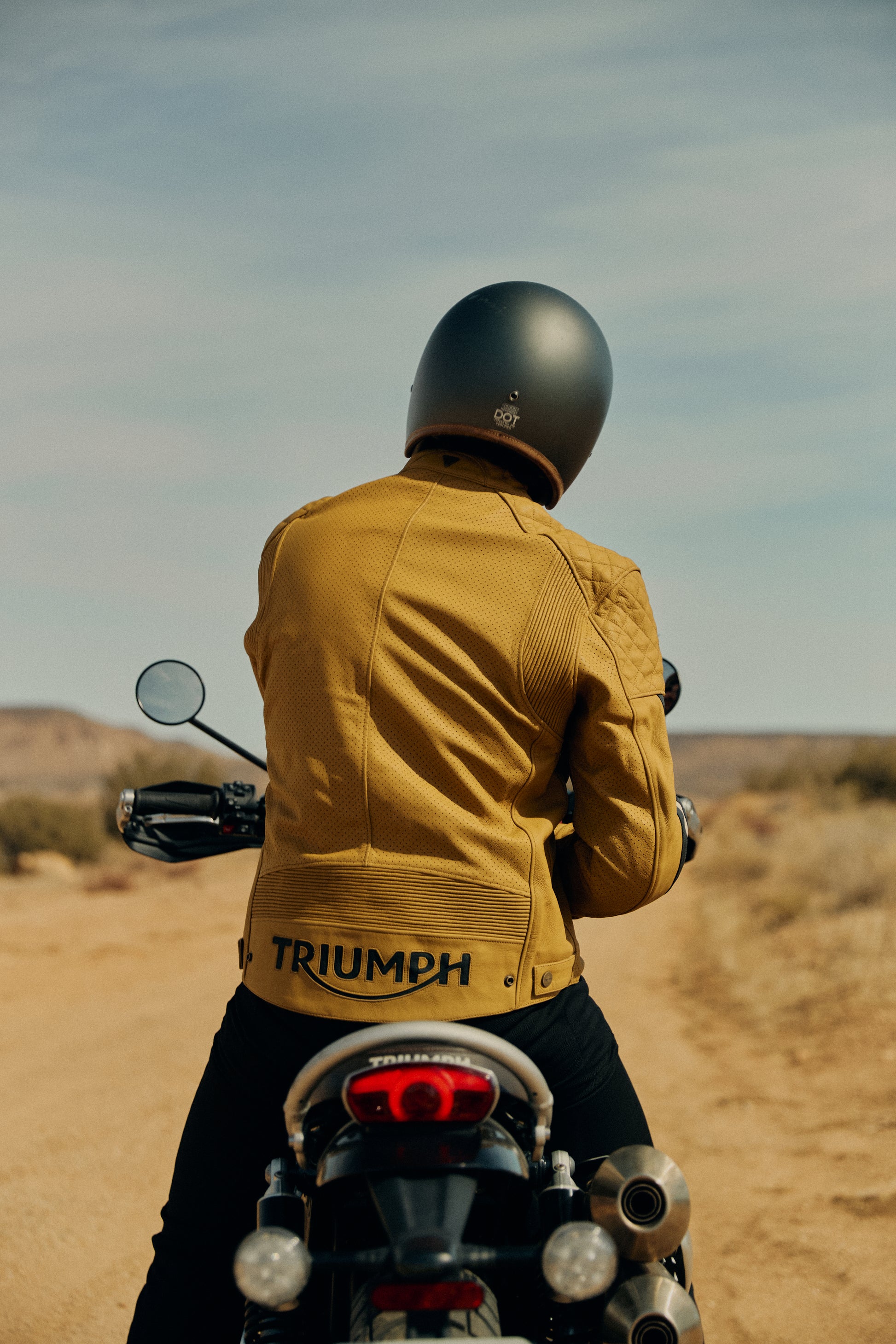 Triumph Braddan Gold Retro Air Race Leather Jacket (MLES24006-L)