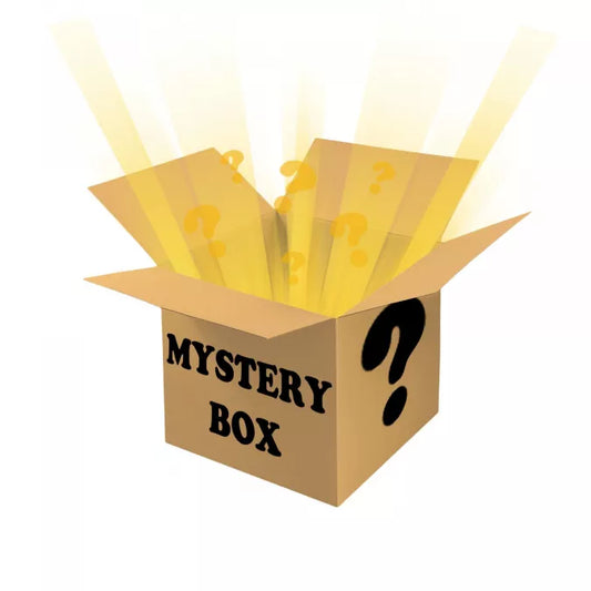 Harley-Davidson Mystery Box